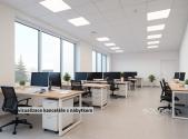 Pronájem - obchodní prostor, 250 m²