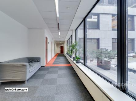 Pronájem - kanceláře, 33 m²