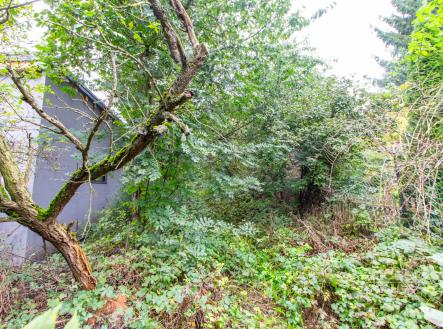 Prodej - pozemek, zahrada, 644 m²