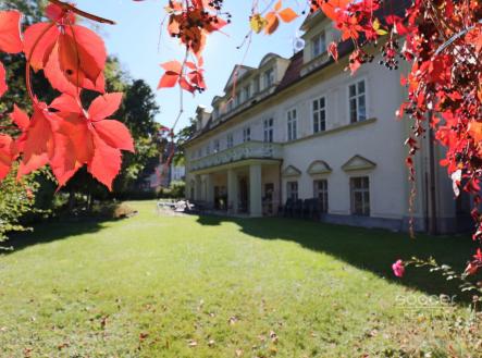 Pronájem - kanceláře, 70 m²