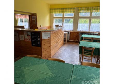 Pronájem - chata/rekreační objekt, 600 m²