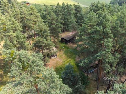 Prodej - pozemek, les, 6 225 m²