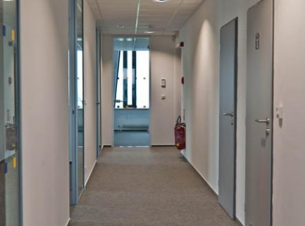 Pronájem - kanceláře, 698 m²