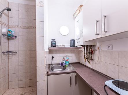 DSC08688.jpg | Pronájem bytu, 1+kk, 25 m²