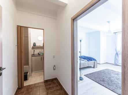 DSC08689.jpg | Pronájem bytu, 1+kk, 25 m²