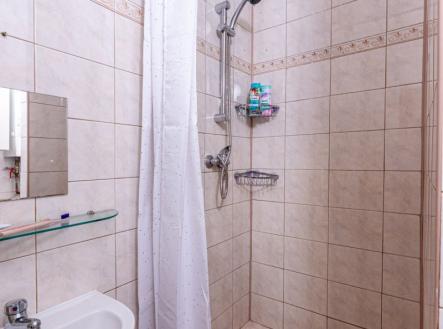 DSC08687.jpg | Pronájem bytu, 1+kk, 25 m²