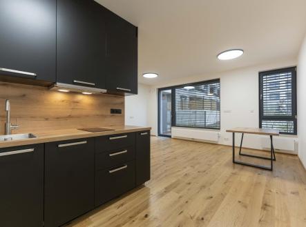 DSC01406.JPG | Pronájem bytu, 1+kk, 50 m²