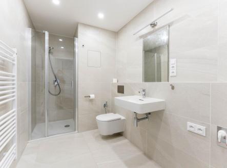 DSC01395.JPG | Pronájem bytu, 1+kk, 50 m²