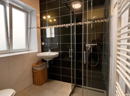 03.JPG | Pronájem bytu, 1+kk, 29 m²