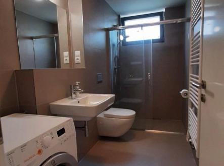 3. small.jpg | Pronájem bytu, 1+kk, 34 m²