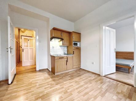 IMG_8290.jpg | Pronájem bytu, 2+kk, 50 m²