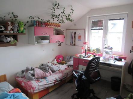 Prodej - dům/vila, 316 m²