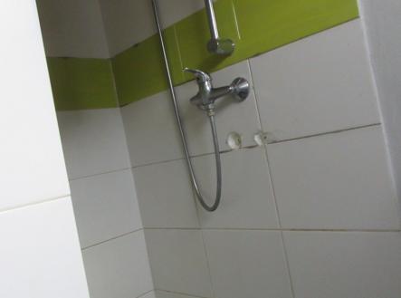 Prodej - dům/vila, 316 m²