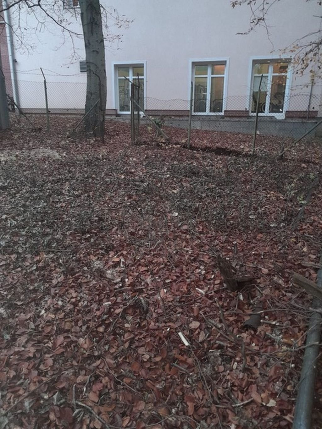 Dražby ostatní pozemky, 424 m2 - Mariánské Lázně