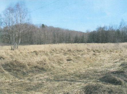 Prodej - pozemek, ostatní, 905 m²
