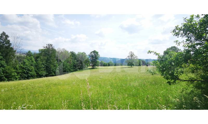 Prodej pozemku (6862m2) pro výstavbu rodinného domu poblíž Českého ráje