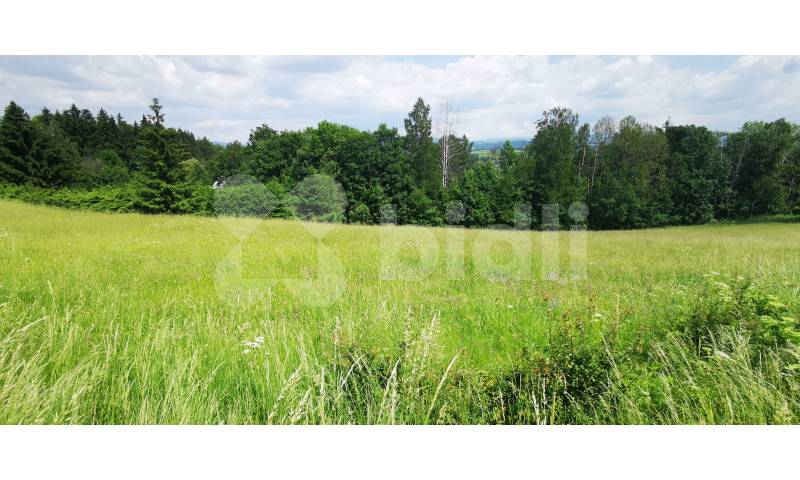 Prodej pozemku (2000m2) pro výstavbu rodinného domu poblíž Českého ráje