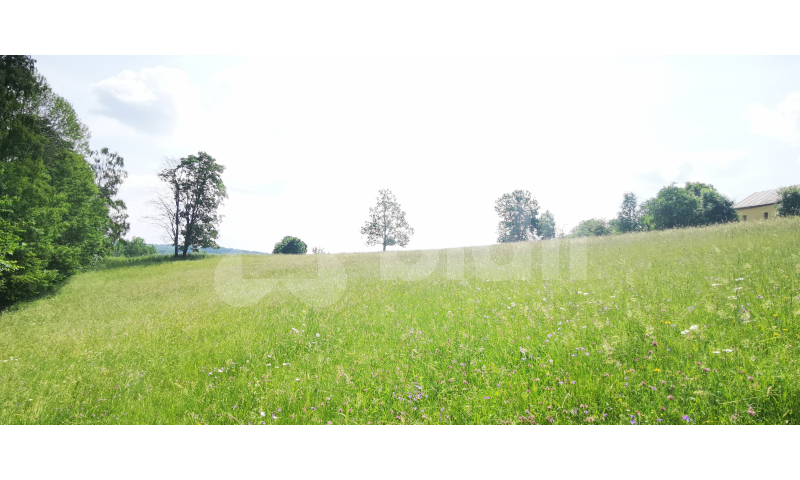 Prodej pozemku (2000m2) pro výstavbu rodinného domu poblíž Českého ráje
