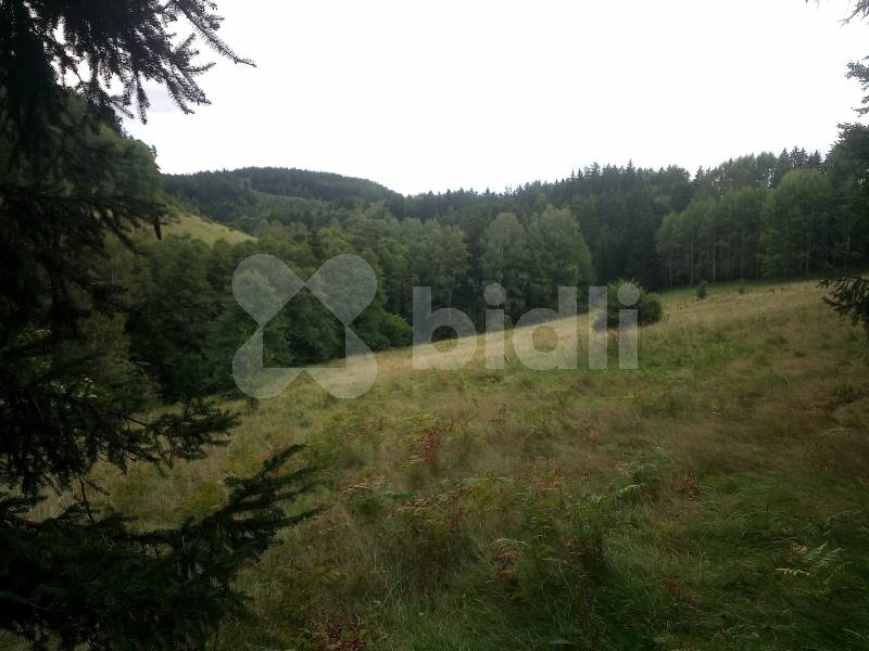 Prodej pozemku o rozloze 24 227 m2 v katastrálním území Prostřední Staré Buky.