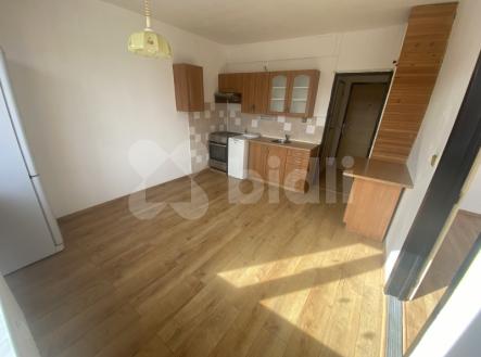 pronájem bytu 1+1, 33 m2, Kmochova, Severní Terasa - Dobětice, Ústí nad Labem | Pronájem bytu, 1+1, 33 m²