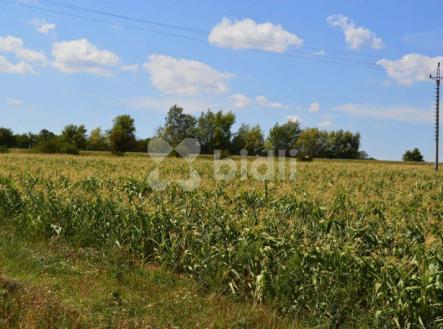 Prodej, Komerční, Rajhrad, | Prodej - pozemek pro komerční výstavbu, 1 565 m²