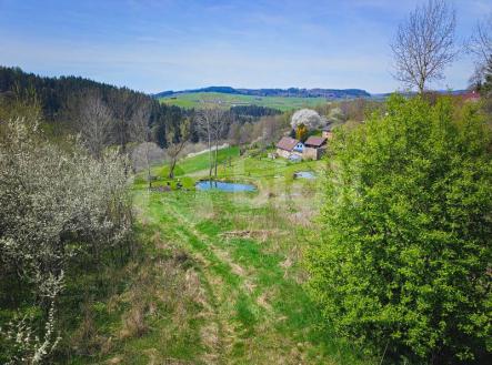 Prodej výjimečného pozemku s krásným výhledem 10 000 m2, Hořice na Šumavě | Prodej - pozemek pro bydlení, 10 000 m²