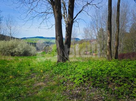 Prodej výjimečného pozemku s krásným výhledem 10 000 m2, Hořice na Šumavě | Prodej - pozemek pro bydlení, 10 000 m²