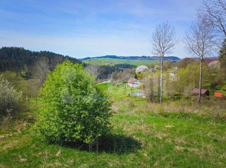 Prodej výjimečného pozemku s krásným výhledem 10 000 m2, Hořice na Šumavě | Prodej - pozemek pro bydlení, 10 000 m²