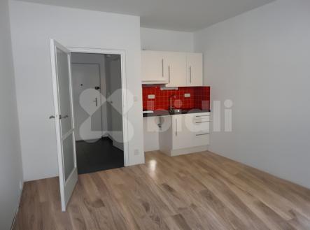 Prodej bytu 1+kk Brno - Lesná, Halasovo náměstí | Prodej bytu, 1+kk, 23 m²