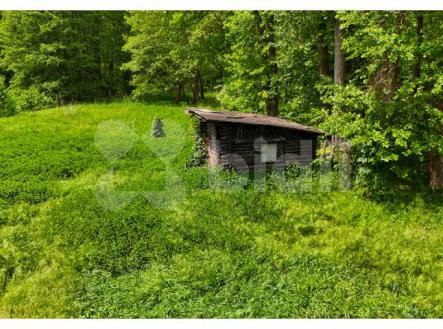 Chatička na pozemku o výměře 6080 m2, Malá Bělá | Prodej - chata/rekreační objekt, 6 m²