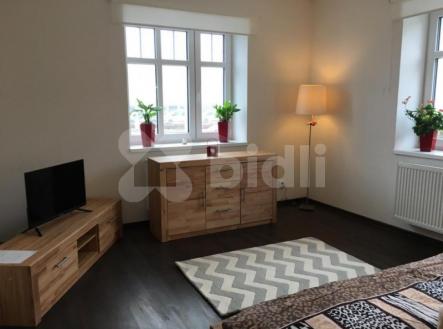 Pronájem rodinný dům, pozemek 635 m2, Plzeň | Pronájem - dům/vila, 540 m²