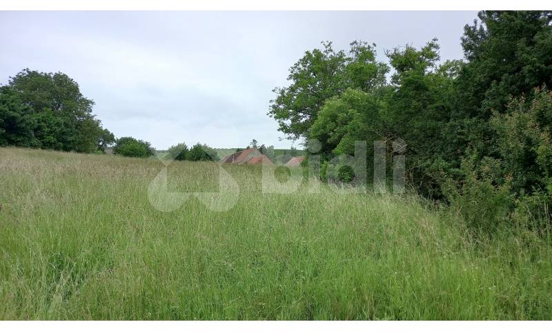 Soubor pozemků v kú Klobouky u Brna, 32 km východně od Brna