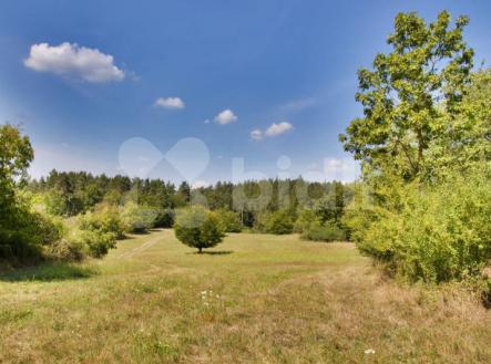 Samopše | Prodej - pozemek, trvalý travní porost, 14 836 m²