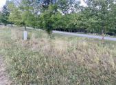 Prodej - pozemek pro bydlení, 1 514 m²