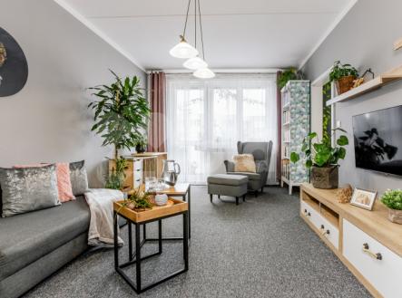 prodej květinového bytu 3+1, Dlouhá České Budějovice | Prodej bytu, 3+1, 80 m²