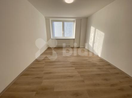 Pronájem bytu 2+1, 64 m2, Nerudova ul., Prostějov | Pronájem bytu, 2+1, 68 m²