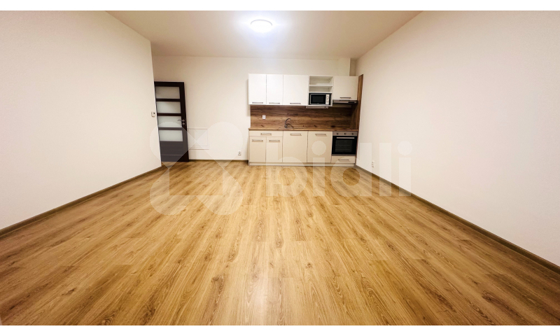 Pronájem bytu 2kk / B, 52 m2 / 4 m2, Chýně