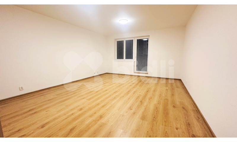 Pronájem bytu 2kk / B, 52 m2 / 4 m2, Chýně