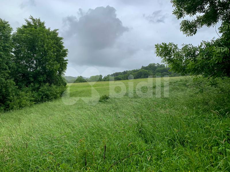 Prodej stavebního pozemku o rozloze 1951 m2