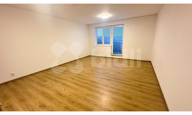 Pronájem bytu 2kk / B, 52 m2 / 4 m2, Chýně