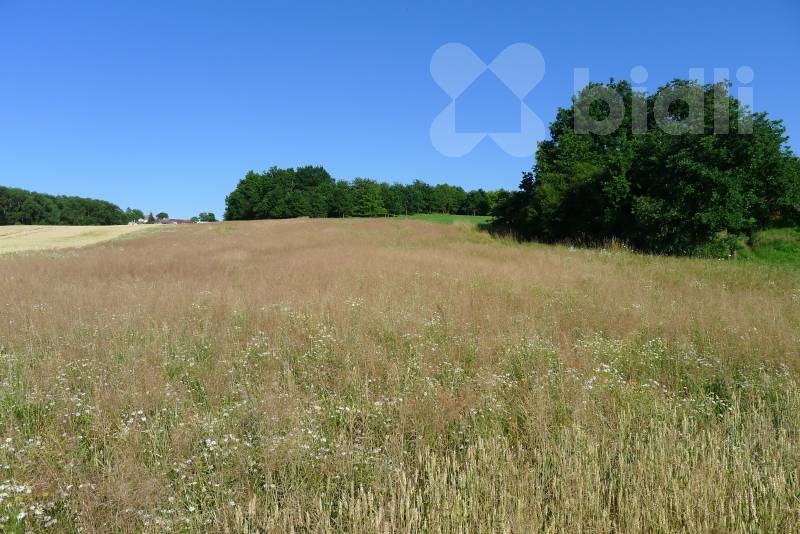 Pozemek s výhledem, 850 m2, Staré Hodějovice