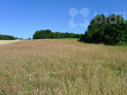 Pozemek s výhledem, 850 m2, Staré Hodějovice | Prodej - pozemek pro bydlení, 850 m²