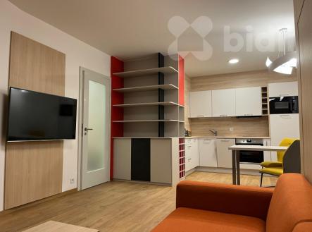 Pronájem bytu 1+kk s terasou (40m2) | Pronájem bytu, 1+kk, 40 m²