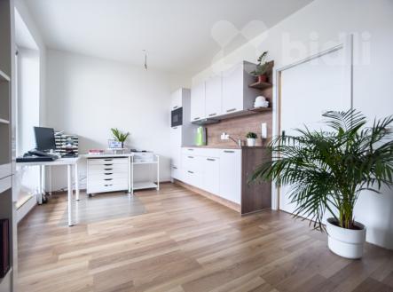 Luxusní prostor 144 m2 včetně teras  a parkování ve vile blízko centra Olomouc | Prodej - jiné, 67 m²