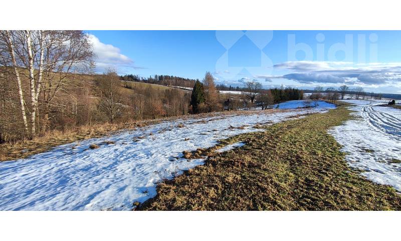 Prodej pozemku / louky 3998m2 v Krkonoších