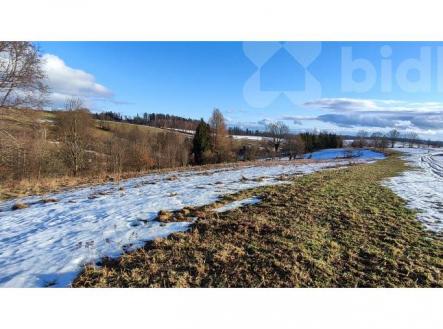 Prodej pozemku / louky 3998m2 v Krkonoších | Prodej - pozemek, trvalý travní porost, 3 998 m²