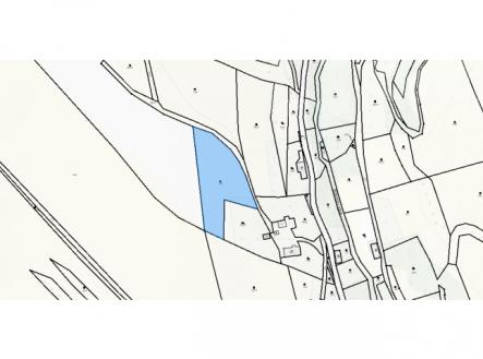 Prodej pozemku / louky 3998m2 v Krkonoších | Prodej - pozemek, trvalý travní porost, 3 998 m²