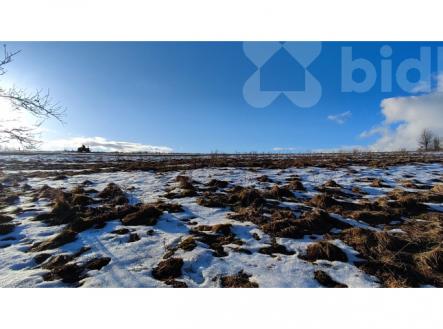 Prodej pozemku / louky 3998m2 v Krkonoších | Prodej - pozemek, trvalý travní porost, 3 998 m²