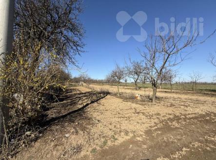 Prodej stavebního pozemku o výměře 1000 m2 v obci Zdislavice, okres Kroměříž | Prodej - pozemek pro bydlení, 1 000 m²