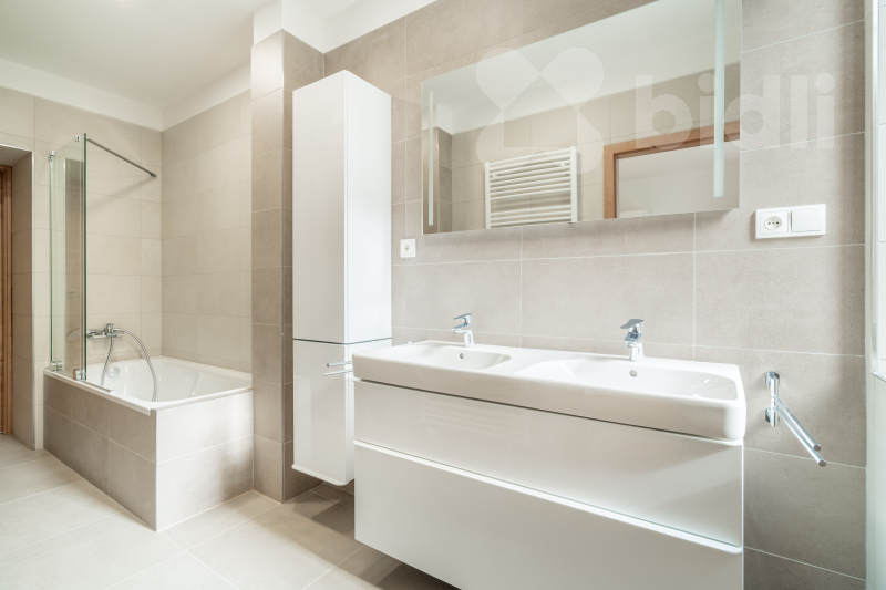 Pronájem bytu 3+1/L 86 m2, Smetanovo nábřeží, Děčín